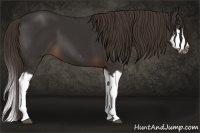 Horse Color:Liver Chestnut Splash Frame 