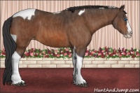Horse Color:Bay Splash Tobiano Blanket  Brindle