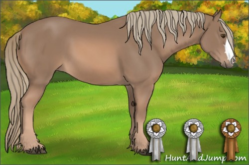 Horse Color: Chestnut Mushroom 