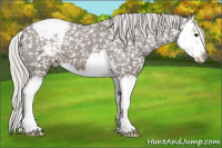 Horse Color:Silver Brown Splash Snowcap 