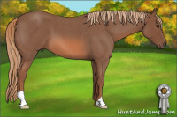 Horse Color:Liver Red Roan 