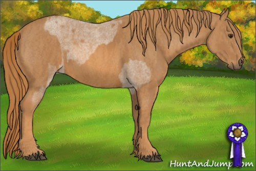Horse Color: Red Roan  Brindle