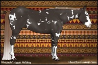 Horse Color:White Spotted Liver Chestnut Splash 