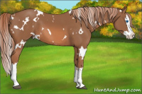 Horse Color:White Spotted Liver Chestnut Splash 