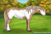 Horse Color:Chestnut Frame 
