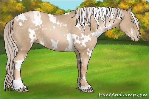Horse Color: White Spotted Chocolate Palomino Pearl 