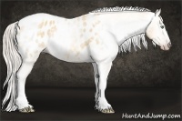 Horse Color:Gray Silver Amber Cream Champagne Roan Dun Splash Tobiano Frame Appaloosa Rabicano 