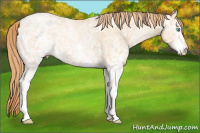 Horse Color:White Spotted Buckskin Ice Pearl