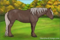 Horse Color:Silver Black 