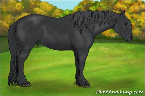 Horse Color: Brown Chinchilla Rabicano 