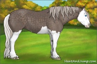 Horse Color:Silver Black Splash 