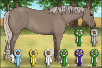Horse Color:Silver Grullo 