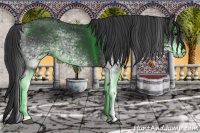 Horse Color:White Spotted Black 