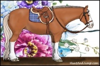 Horse Color:Silver Bay Splash 