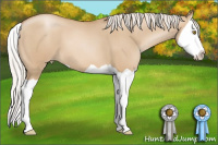 Horse Color:Silver Grullo Pearl Splash