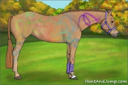 Horse Color: Chestnut 