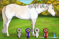 Horse Color:White Spotted Perlino Sabino