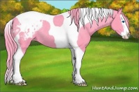 Horse Color:Watercolor Grullo Splash Tobiano Blanket Rabicano