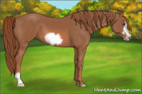 Horse Color:Liver Chestnut Frame 