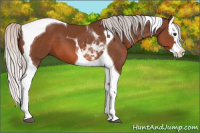 Horse Color:Silver Brown Splash Tobiano 