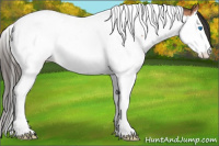 Horse Color:Bay Roan Splash Tobiano 
