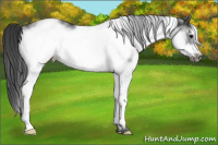 Horse Color:White Spotted Black Frame 