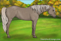 Horse Color:Silver Smoky Grullo 