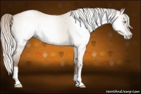 Horse Color:Gray Silver Classic Champagne Roan Dun 