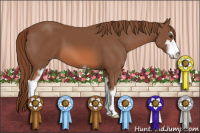 Horse Color:Liver Chestnut Sabino