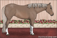 Horse Color:Silver Black Tobiano 