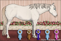 Horse Color:Perlino Dun 