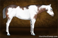 Horse Color:Bay Splash Frame  Brindle
