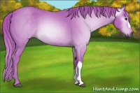 Horse Color:Gray Watercolor Red Roan 