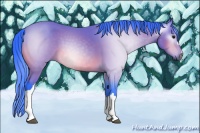 Horse Color:Gray Watercolor Bay 