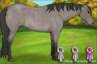 Horse Color:Blue Roan 
