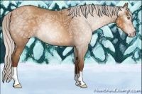 Horse Color:Gray Silver Sable Champagne Ice 