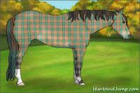 Horse Color:Plaid  Bay 