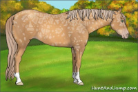 Horse Color:Gray Gold Cream Champagne Ice 