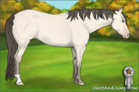 Horse Color:Amber Cream Champagne Dun 