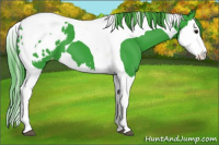 Horse Color:Watercolor Brown Splash Tobiano Appaloosa 
