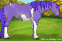 Horse Color:Watercolor Black Tobiano 