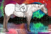 Horse Color:Gray Chestnut Ice Snowcap 