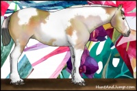 Horse Color:Gray Nacre Buckskin Dun Splash Tobiano Frame Rabicano 