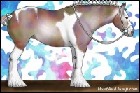 Horse Color:Gray Nacre Silver Bay Splash Tobiano 