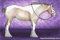 Horse Color:Gray Nacre Amber Champagne Dun Splash Tobiano 