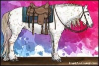 Horse Color:Gray Nacre Palomino Roan Dun Frame Appaloosa 
