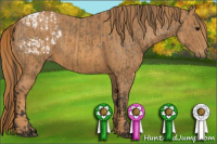 Horse Color:Buckskin Sabino Appaloosa Rabicano  Brindle