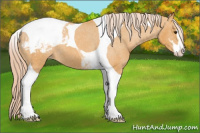 Horse Color:Palomino Sabino Tobiano Snowcap 