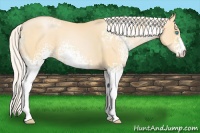 Horse Color:White Spotted Silver Buckskin Pearl 