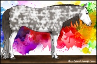 Horse Color:Smoky Black Ice Splash 